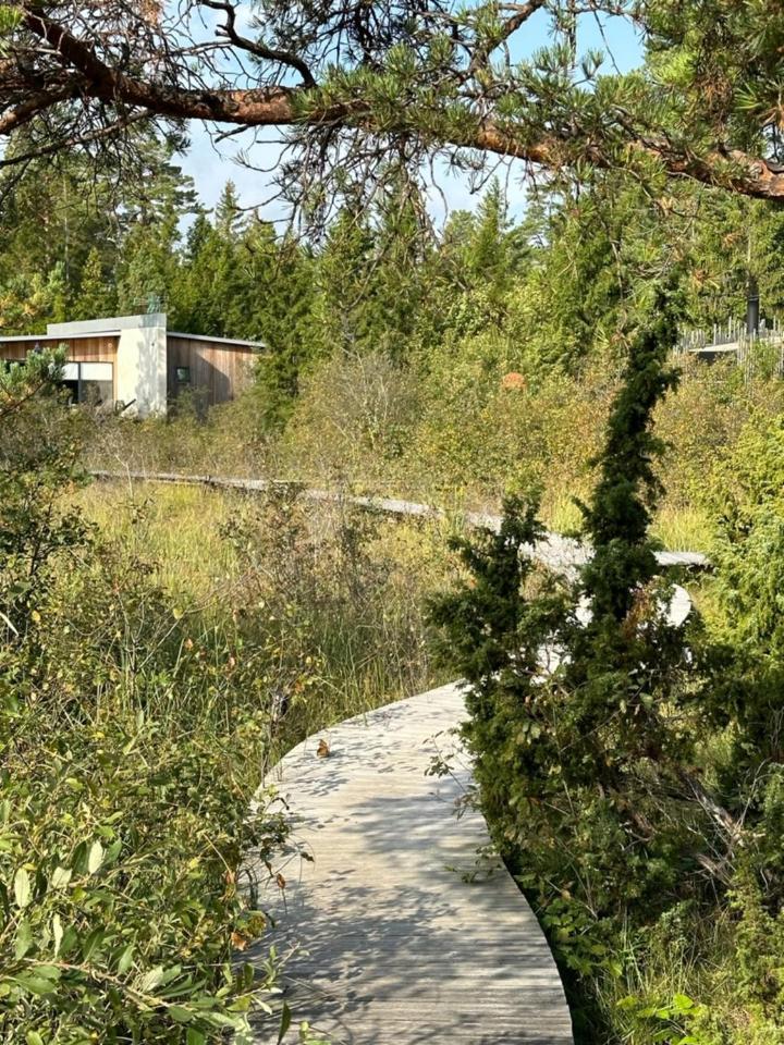 Maven Kustnaera Stugor Kappelshamn 외부 사진